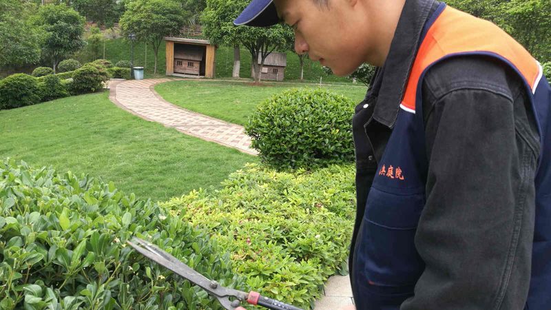 市政园林工程公司加盟扶持政策全解析**