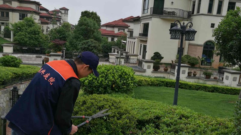 边坡绿化养护验收标准：关键要点与实施步骤**
