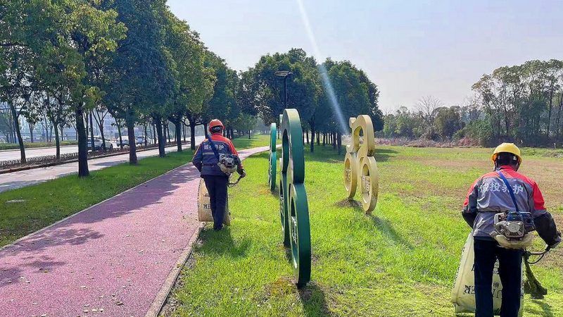 花卉租摆方案设计：打造绿色空间的艺术