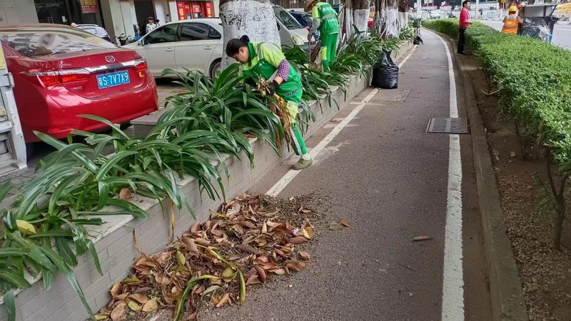 小别墅花园设计：入户景观的五大关键要素**