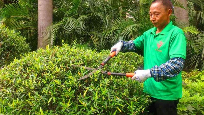 太阳能路灯维修常见故障及排查方法**