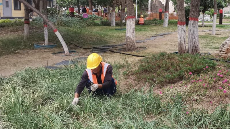 别墅花园设计施工报价清单：揭秘别墅园林打造的关键要素**