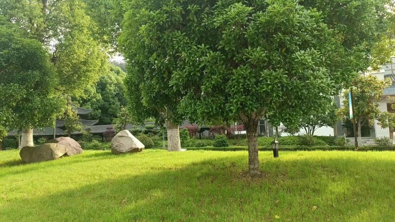 园林景观设计资质：如何准确理解与运用？**