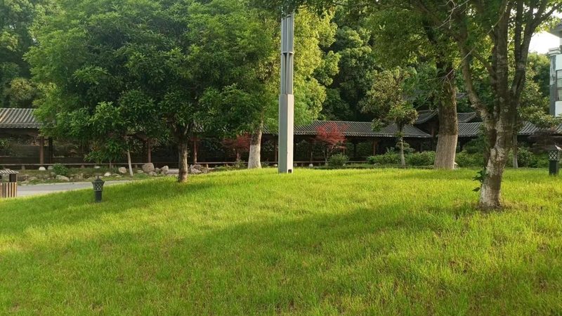 四川苗木基地的优与劣：揭秘其背后的秘密**