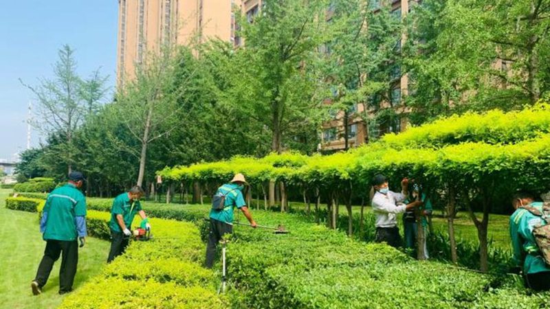 花卉租摆加盟：费用与流程全解析