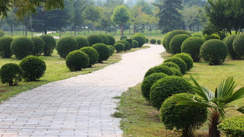 写字楼绿植租摆安装流程