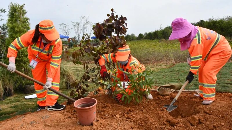 边坡绿化工程预算定额标准解析**