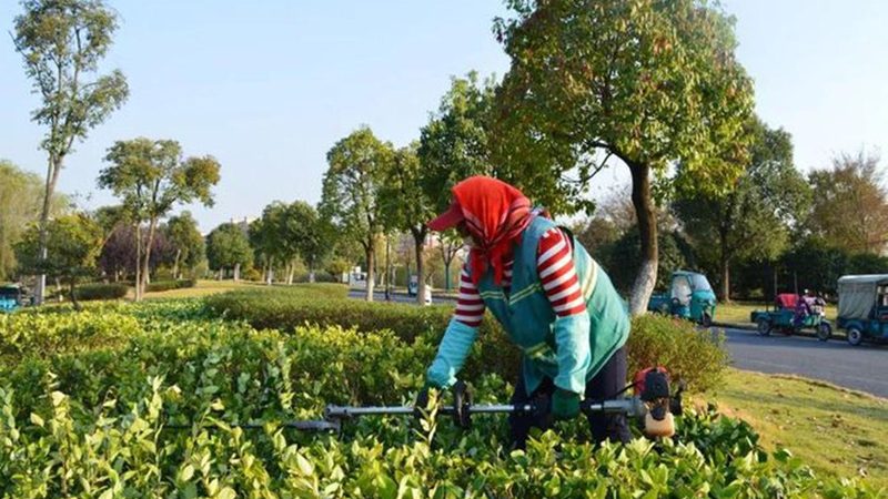 边坡喷播植草与挂网喷播区别解析