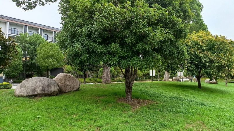 会议场所花卉租摆布置，如何打造清新雅致的空间氛围